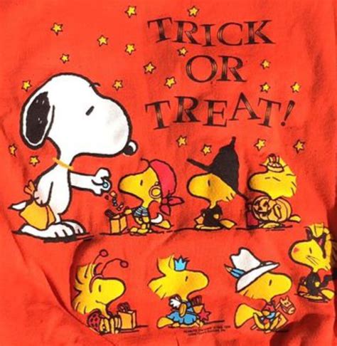 Charlie Brown Halloween Peanuts Halloween Halloween Memes Charlie