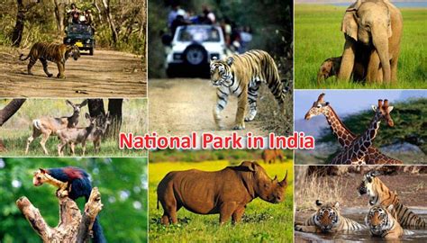 National Parks In India General Knowledge Questions