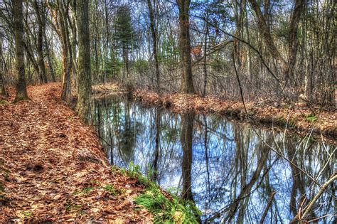 Wallpaper Water Nature Reflection River Wilderness Pond Stream