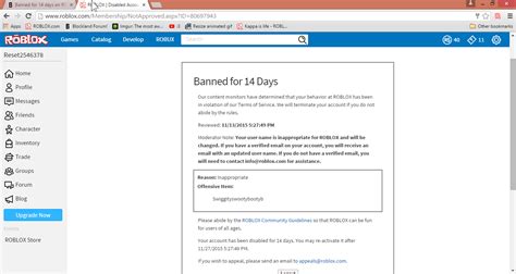 Banned For 14 Days On Roblox