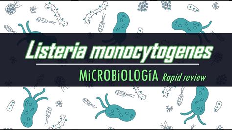 Listeria Monocytogenes Revisión Rápida Youtube