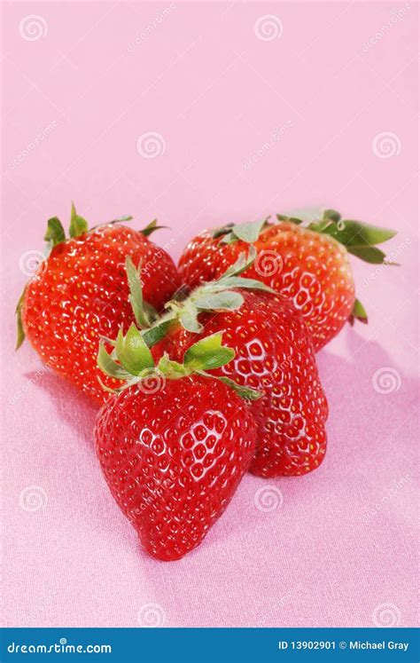 Closeup Strawberries On Pink Stock Image Image Of Lots Strawberry