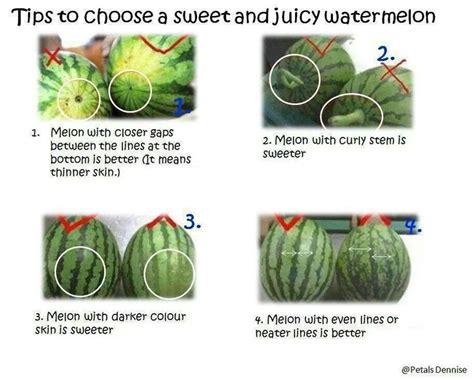 If the outside of the watermelon has a darker, duller appearance, it's likely already ripe, sweet, and ready for you to eat. Good to know :) | Sweet watermelon, Watermelon, How to ...