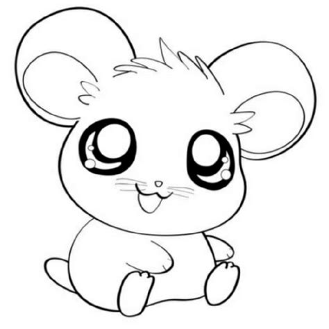 Chibi Hamster Coloring Pages Coloring Pages