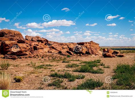 Arizona Desert Landscape Stock Image Image Of View