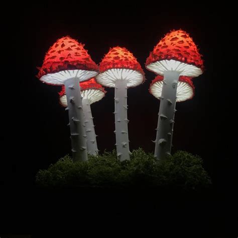 Three Red And White Lighted Mushrooms On Top Of A Green Plant In The