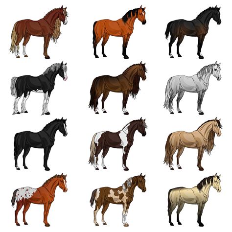 Common Horse Breeds Height Weight Chart Vlrengbr