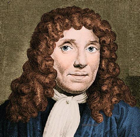 Quem Foi Antony Van Leeuwenhoek