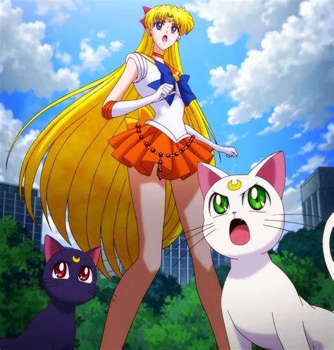 Sailor Venus Luna And Artemis Sailor Moon