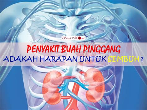 Rawatan adalah bergantung kepada punca yang menyebabkan masalah ini berlaku. Rawatan Penyakit Buah Pinggang. Bolehkah Sembuh? | * SWEET ...