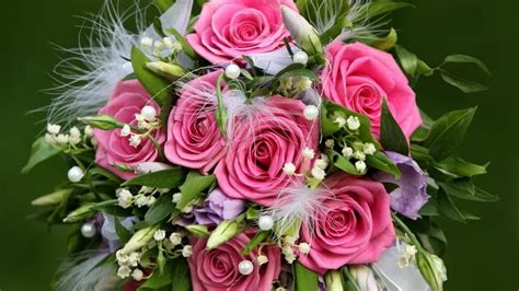 Обои розы, признание, красивые, листья, природа, бутоны, розовые розы ...