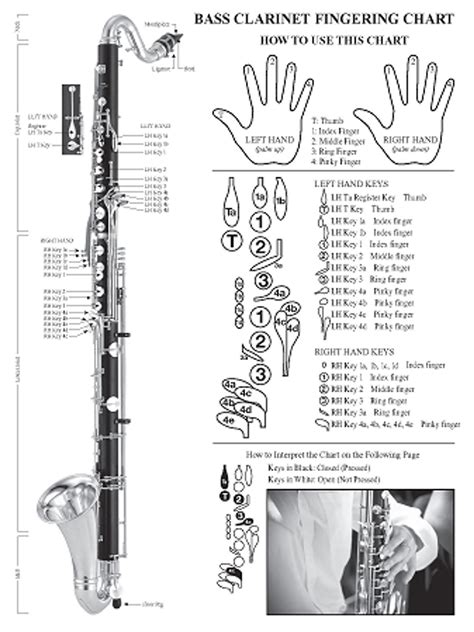 Basic Instrumental Fingering Chart For Bass Clarinet Linton Milano Music