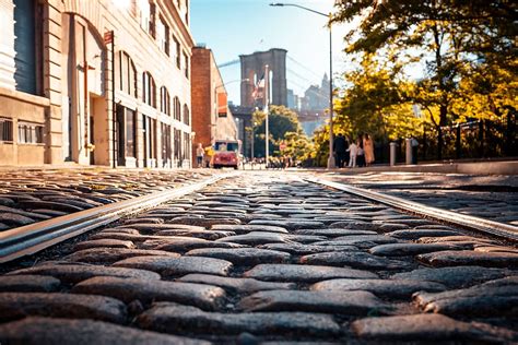 Hd Wallpaper Gray Bricks Road Between Tall Trees And Building City