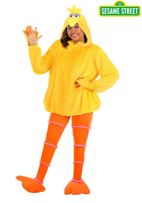 Sexy Sesame Street Costume