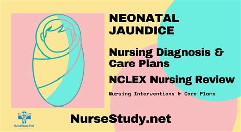 Neonatal Jaundice Nursing Diagnosis And Care Plan Nursestudynet