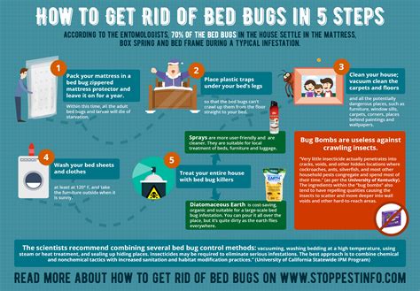 How To Get Rid Of Bed Bugs With Bombs And Foggers Does It Really Work