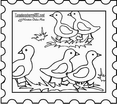 Coloring Stamp Mommy Looking Duck 2009 Londonderry
