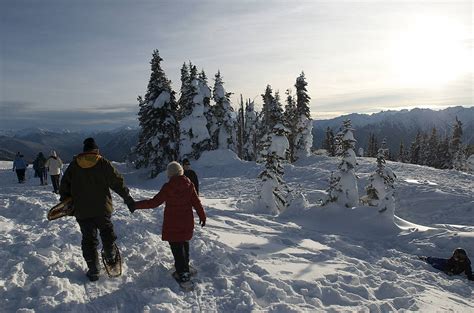 With Olympic National Park Reopened Hurricane Ridge Club