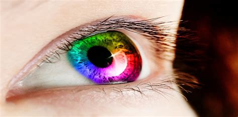 Perceiving Colour Involves More Than Meets The Eye