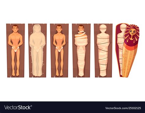 Egyptian Mummy Mummification Process Royalty Free Vector