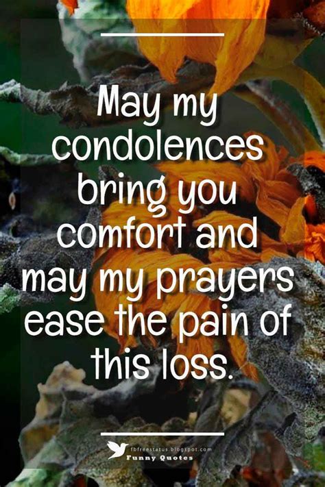 Free online my condolences to you and your family ecards on inspirational. Condolences Messages For Your Sympathy Card | Condolence ...