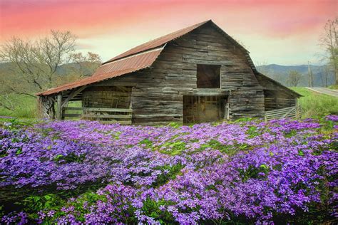 Old Barn In The Wildflowers Photograph By Debra And Dave Vanderlaan