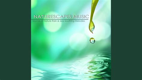 Song Of Healing Wave Sounds Nature Music Youtube Music