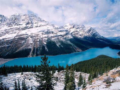 Peyto Lake Banff National Park Alberta Canada Blue Winter White