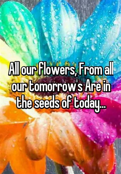 All Our Flowers From All Our Tomorrows Are In The Seeds Of Today
