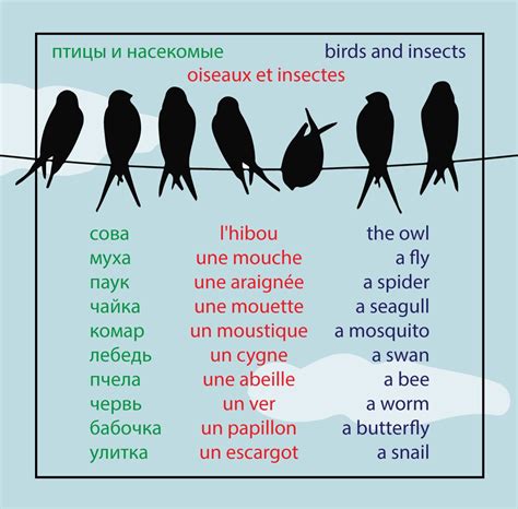 Names Of Animals In French Изучение французского Животные Французский