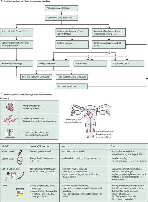 Endometrial Cancer The Lancet