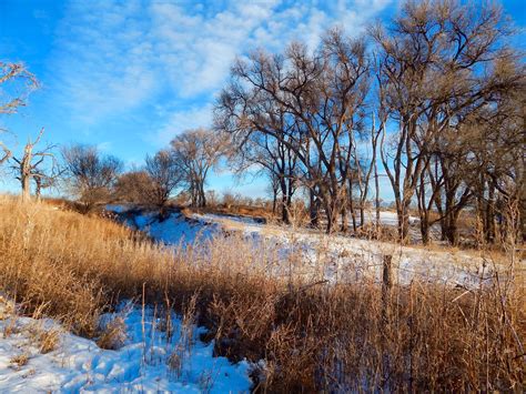 Impression Evergreen Western Nebraska A Winter Eden