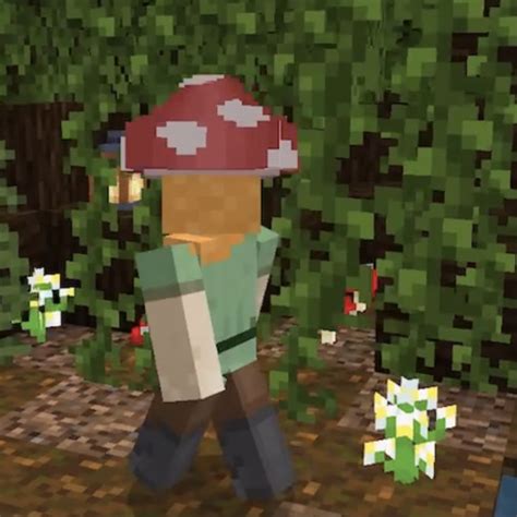 Mushroom Hat Minecraft Addon
