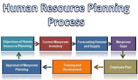 What Is Human Resource Planning Process Business Jargons