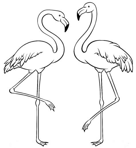 Desenhos De Flamingos Para Colorir Pop Lembrancinhas