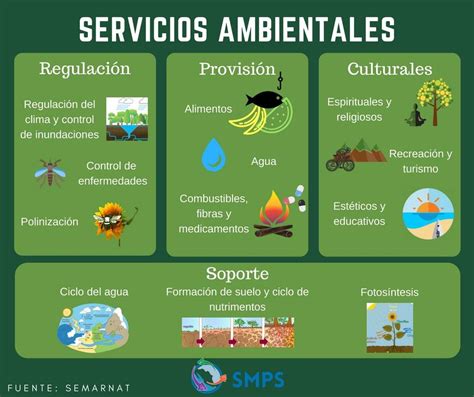 Los Servicios Ambientales Son Los Bienes Y Procesos Naturales Que Nos