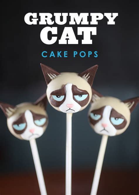 Maybe you would like to learn more about one of these? Cat Meme Cake Pops : cat cake pops