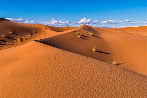 Desierto Del Sáhara Por Raúl Demangel Fotografía Turismo De Observación