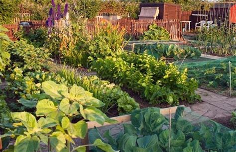 1 Acre Vegetable Garden Design Gardenpicdesign