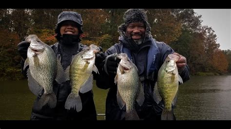 Cold Winter Crappie Fishing With A Pro Youtube