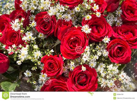Bouquet Of Red Roses With Baby S Breath Flowers Close Up