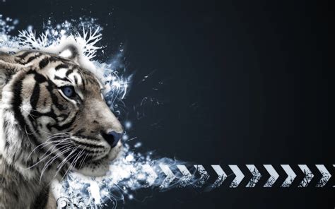 Maybe you would like to learn more about one of these? Neon Tiger Wallpaper (65+ images)