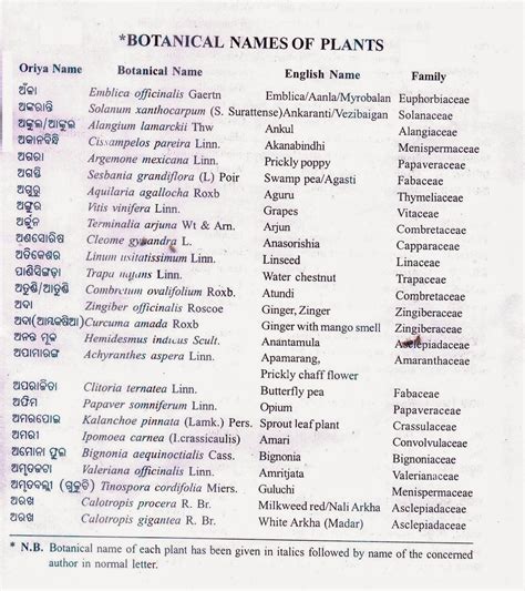 Botanical Names Of Common Plants Of Odisha Alphabetical List Of