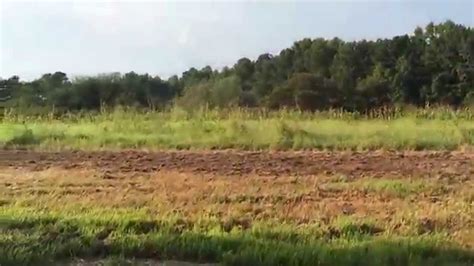 4201 baptist road, durham, nc 27703 gps: Dove Hunting Fields on NC Wildlife Game Lands at Falls ...