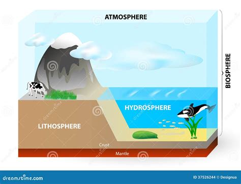 Atmósfera Biosfera Hidrosfera Litosfera Ilustración Del Vector