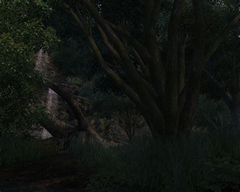 Unique Landscapes Blackwood Forest At Oblivion Nexus Mods And Community