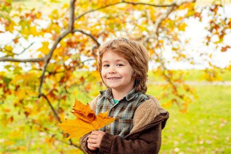 Autumn Portrait Of Cute Little Boy Child With Leaf In Autumn Park