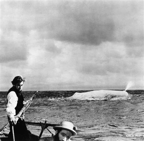 Mythen Die Geschichte Vom Weißen Wal Moby Dick Bilder And Fotos Welt