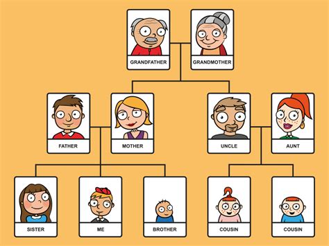 Observe A Genealogia Abaixo Sobre Hemofilia Em Uma Familia