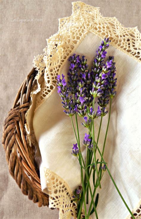 Per potare questa pianta vi serviranno solo delle forbici da giardinaggio e dei guanti. Come e quando essiccare la lavanda - La Figurina